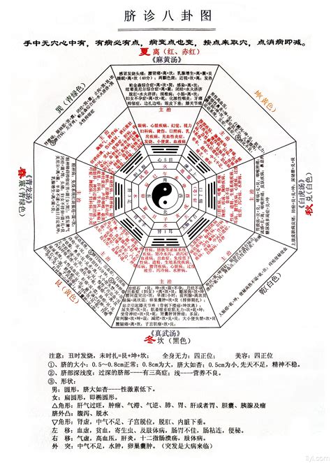 八卦 แปล